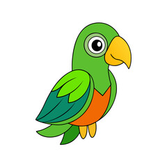 parrot on a white background