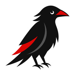 crow on a white background