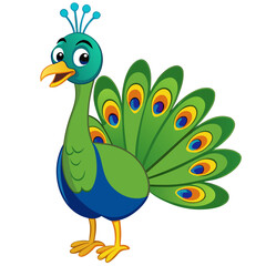 peacock vector illustration