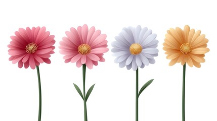 Colorful daisies blooming in a row