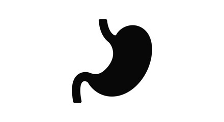 Human stomach anatomy illustration in black color on white background