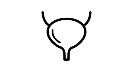 Simple line drawing of a female urinary bladder anatomy