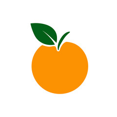 orange fruit vector illustration