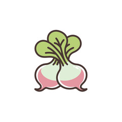 vector illustration of a green onion