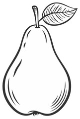 Hand drawn illustration of pear and leaf against white background