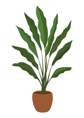 Houseplant with long green leaves in a brown pot. Isolated decorative interior element for home decor. Modern flat design.