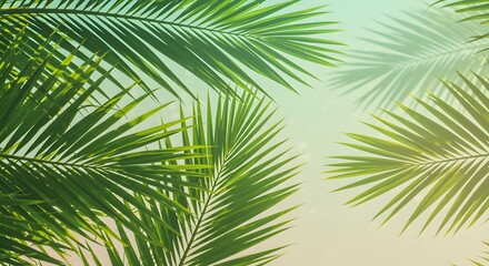 Palm fronds closeup