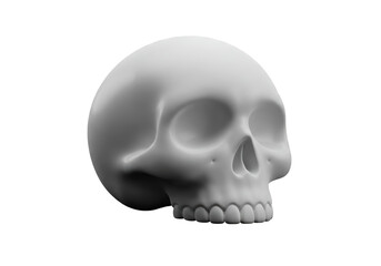Isolated Human skull, an anatomical representation for medical and scientific visualization