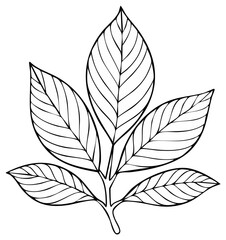 Stylized outline drawing of a cluster of five pointed oval leaves on a stem