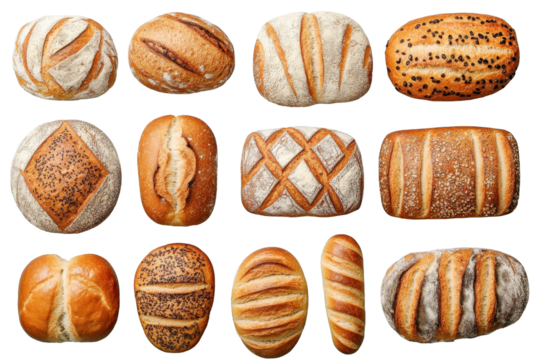 Various freshly baked whole breads displayed on a light blue surface in a bakery setting