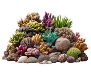 Colorful coral reef with various marine life, vibrant sponges, sea grass, and seashells, creating lively underwater scene with natural textures and tropical beauty