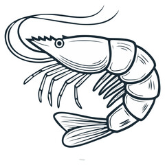 Detailed line drawing of a prawn with long antennae and segmented body