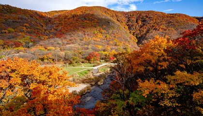Autumn Foliage Mountain View (2)
