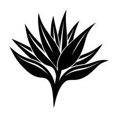 Black Silhouette Vector of Bird of Paradise Flower Isolated on White Background
Bird of Paradise Flower Silhouette Vector
Minimalist Bird of Paradise Flower Icon
Bold Black Floral Vector Design