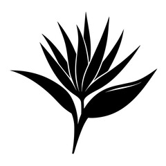 Black Silhouette Vector of Bird of Paradise Flower Isolated on White Background
Bird of Paradise Flower Silhouette Vector
Minimalist Bird of Paradise Flower Icon
Bold Black Floral Vector Design