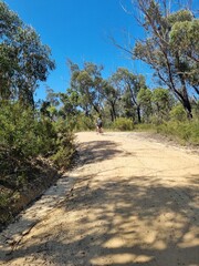 Fototapeta premium Male Cyclist Riding on Kedumba Valley Gravel Road, Blue Mountains on a Sunny Day