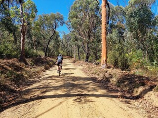 Male Cyclist Riding on Kedumba Valley Gravel Road, Blue Mountains on a Sunny Day