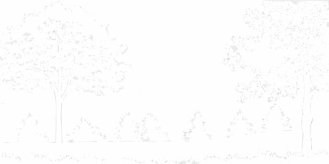Minimalist white sketch of two trees and grass with a bright white background