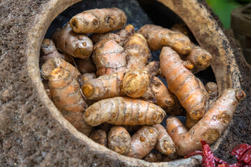 Raw turmeric in a jar.