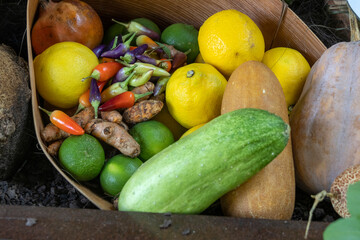 Assorted organic vegetables and fruits in a basket