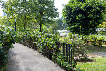 Landscape of Hort Park in Singapore