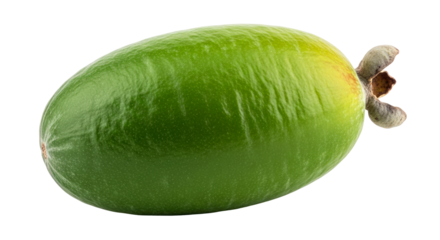 unveiling the vibrant green mystery a single feijoa fruit, natures exotic jewel