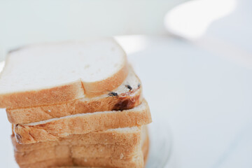 White bread that is covered in flies makes the bread unhealthy