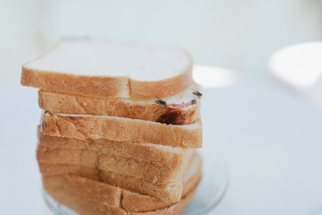 White bread that is covered in flies makes the bread unhealthy