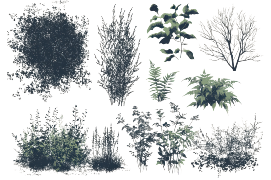 Nature-inspired halftone grunge illustrations showcasing diverse plants and foliage arranged aesthetically on a light background - Powered by Adobe