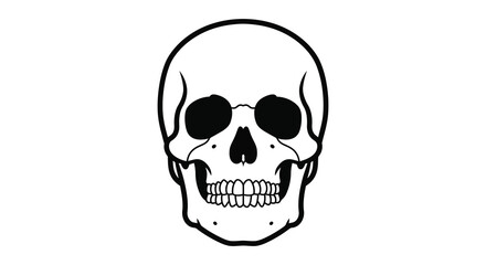 A black and white illustration of a human skull