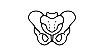 A line drawing of a human pelvis and sacrum