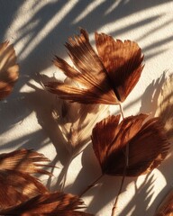 Dried palm leaves, sun-drenched