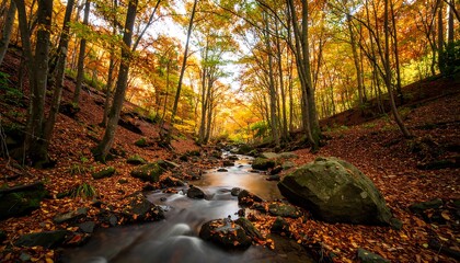 Autumn Forest Creek Path (1)