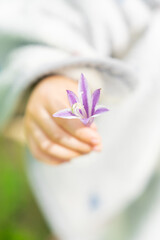 紫の花を持った幼児