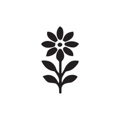 Fototapeta premium vector floral ornament motive 