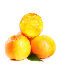 Fresh Golden Nectarines with Water Drops on White Background - Healthy Organic Stone Fruit