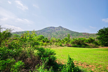 Obraz premium Beautiful view of Indian mountains with green plants under blue sky.
