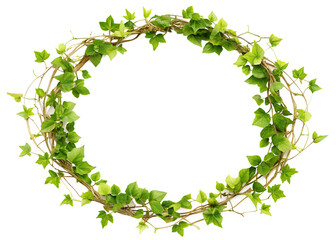 Fototapeta premium vine frame leaf vine circle isolated on white background ,PNG.AI Generated.