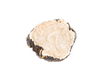 Dried Maca Root Cross Section - Traditional Chinese Herbal Medicine from Yunnan