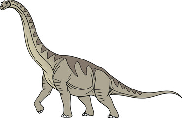 Brachiosaurus Dinosaur Illustration. Realistic Brachiosaurus Design. Brachiosaurus Prehistoric Animal Design. Brachiosaurus Jurassic Era Illustration. Single Brachiosaurus Drawing. Giant Brachiosaurus