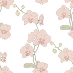 Seamless pattern featuring delicate, pastel-colored orchids with slender stems and buds on a white background.