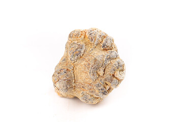 Panax Pseudoginseng Root Wenshan Yunnan Chinese Traditional Medicine Herb Natural Health Supplement