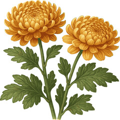 Yellow Chrysanthemum Bundle Flower