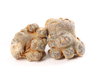 Panax Pseudoginseng Roots from Wenshan Yunnan China - Traditional Chinese Medicine Herb on White Background