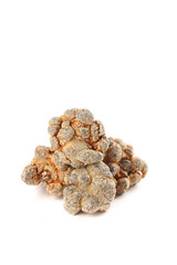 Dried Panax Pseudoginseng Roots from Wenshan Yunnan China Traditional Chinese Medicine Herbs White Background