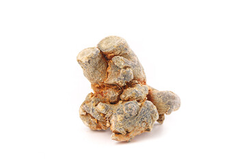 Wenshan Pseudoginseng Panax Roots - Traditional Chinese Medicinal Herbs from Yunnan Farmers