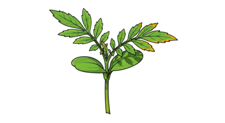 vibrant young plant sprout natures resilience, botanical illustration