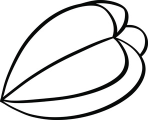 vector illustration of a Carambola