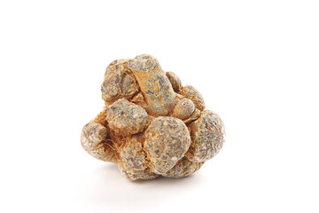 Wenshan Panax Pseudoginseng Roots - Traditional Chinese Medicine Herbs from Yunnan Province