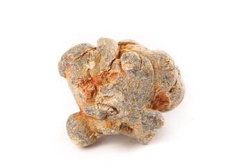 Wenshan Panax Pseudoginseng Roots - Yunnan Herbal Medicine Specialty from Chinese Farmers